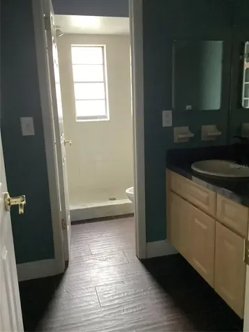 15803 Ironware Place Tampa FL 33624