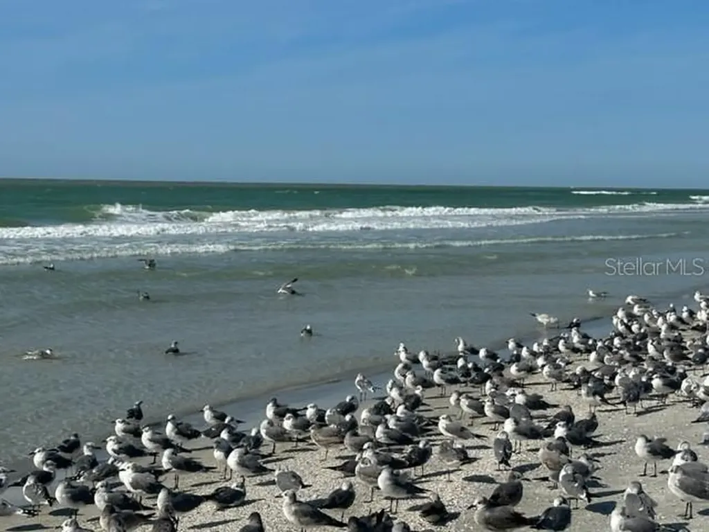 10 158th Avenue Redington Beach FL 33708