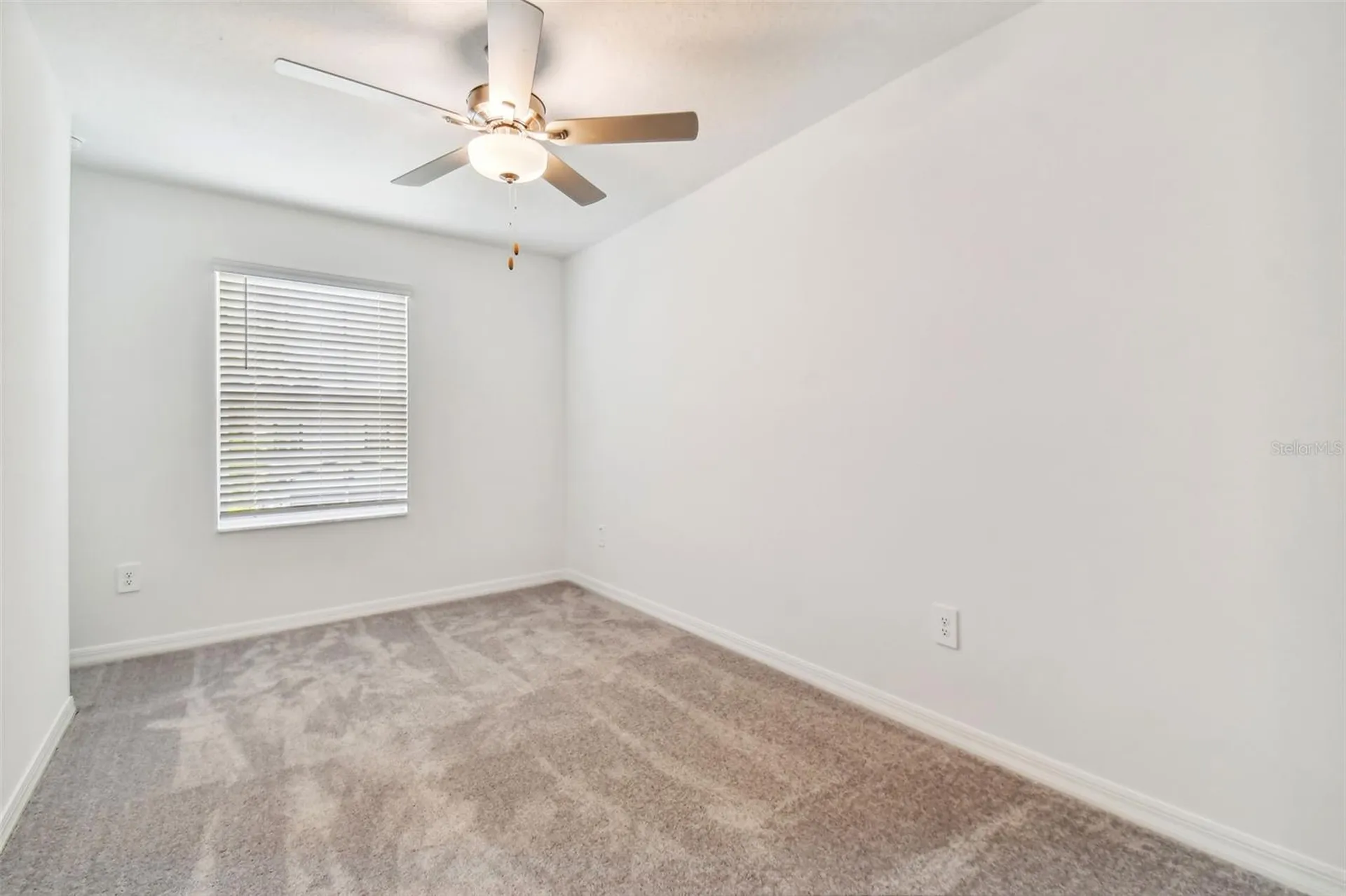 36406 Well Hill Way Zephyrhills FL 33541