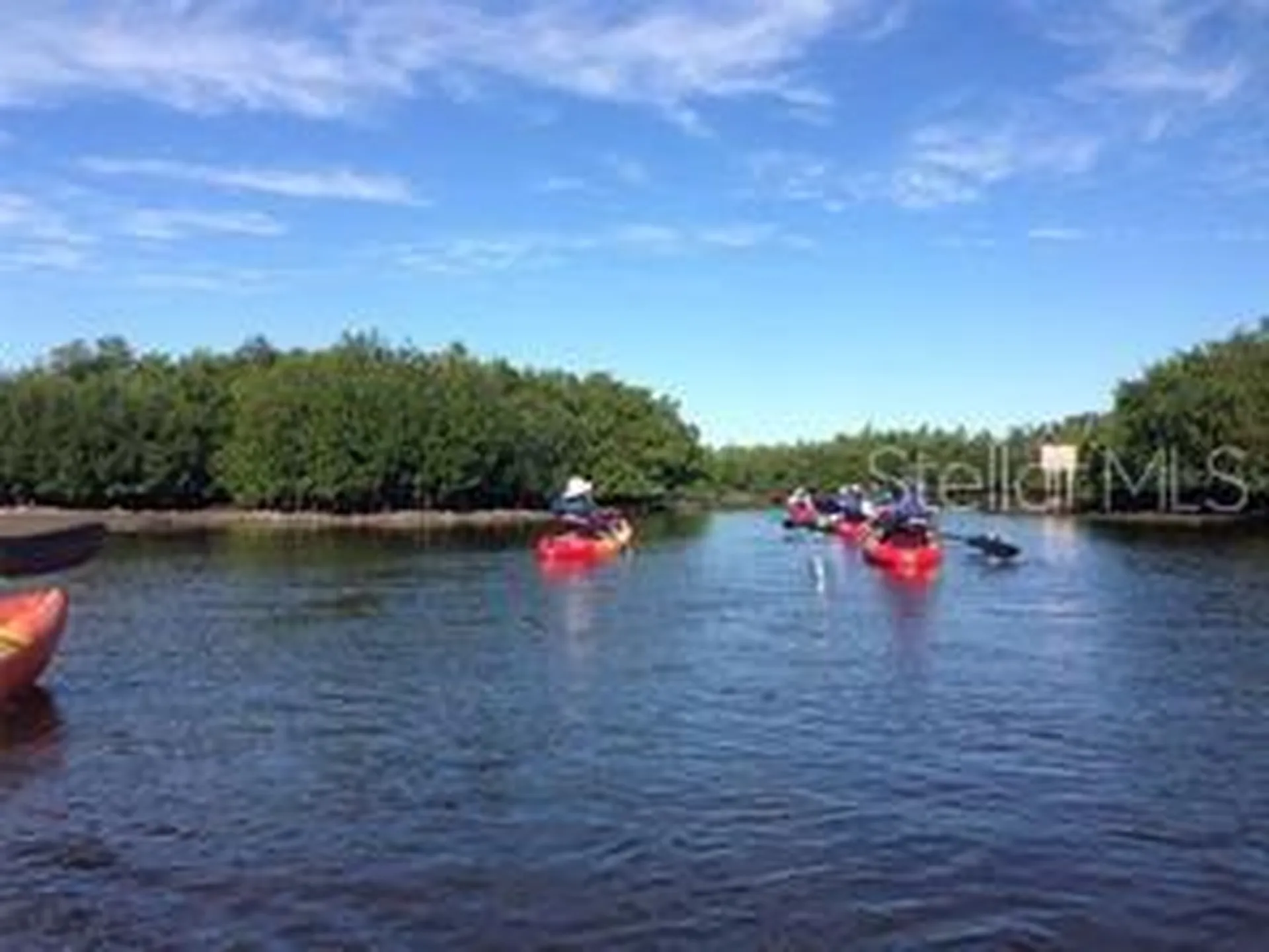 511 Buckingham Avenue E Oldsmar FL 34677
