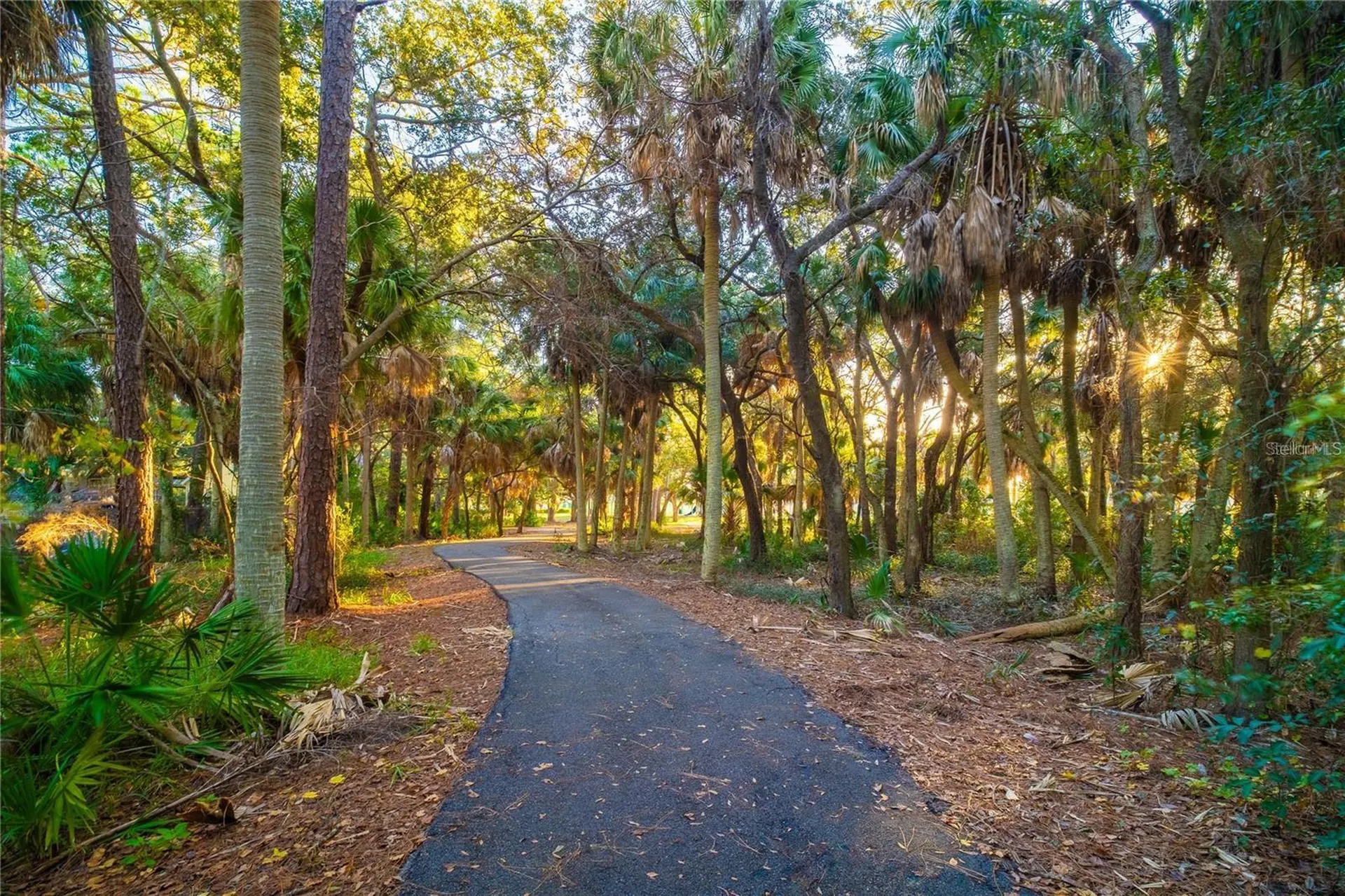 511 Buckingham Avenue E Oldsmar FL 34677