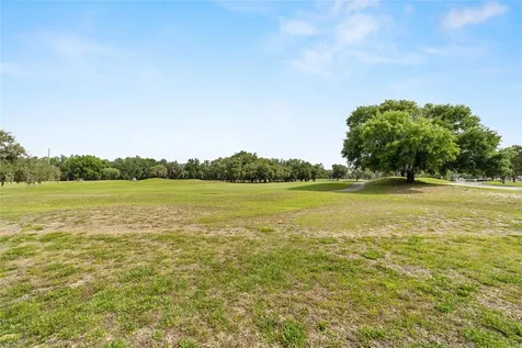 13640 SW 115th Avenue Dunnellon FL 34432