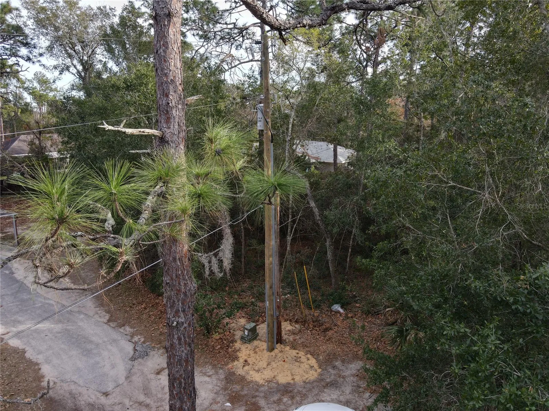 W Seventh Avenue Umatilla FL 32784