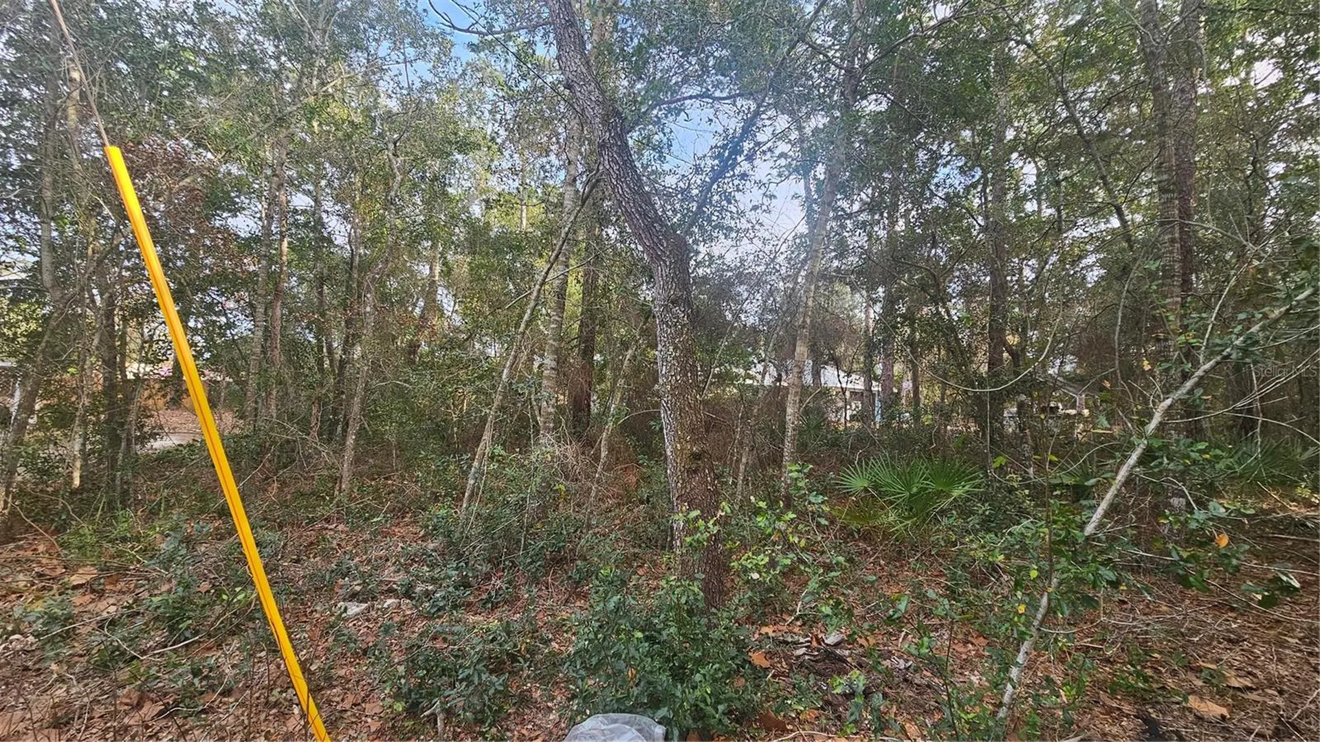 W Seventh Avenue Umatilla FL 32784
