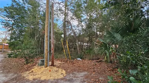W Seventh Avenue Umatilla FL 32784