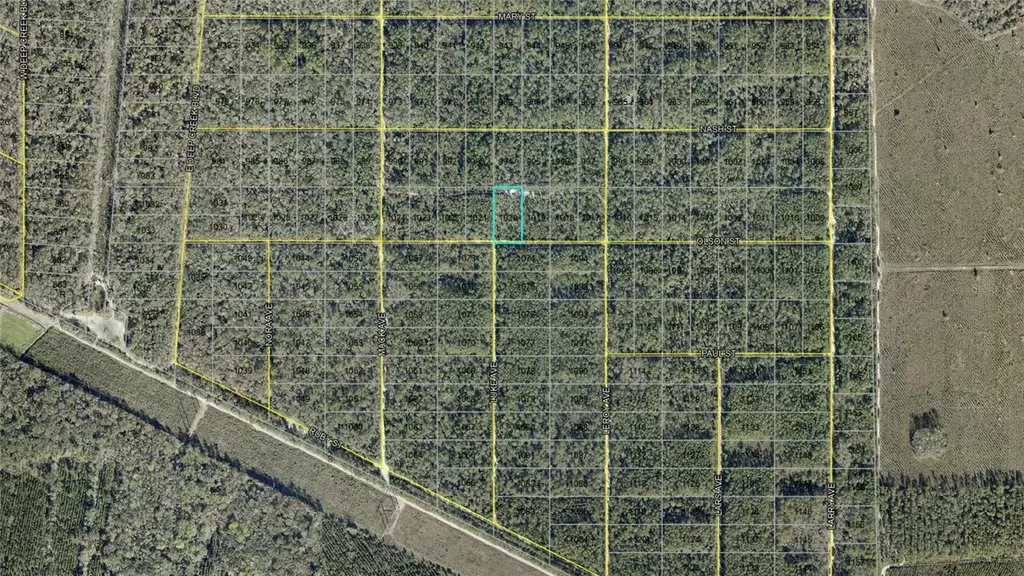 21-10-28-2775-00040-1020 Olson Street Hastings FL 32145