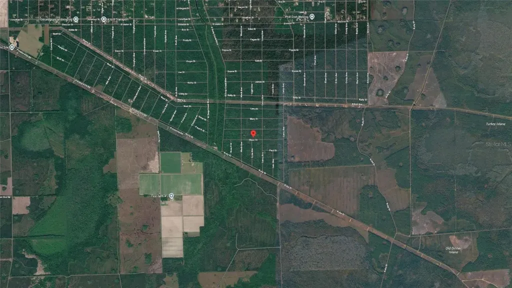 21-10-28-2775-00040-1020 Olson Street Hastings FL 32145