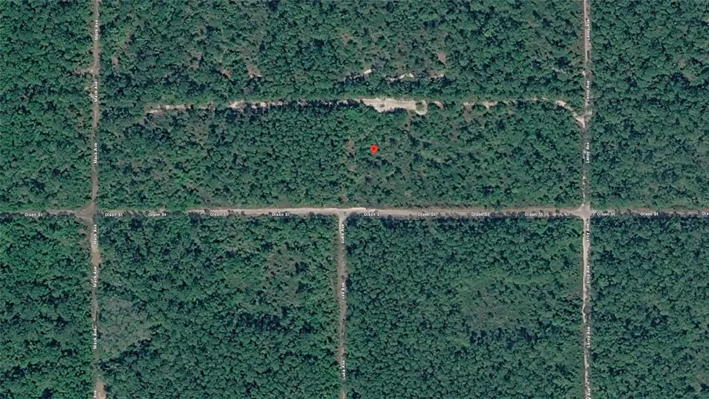 21-10-28-2775-00040-1020 Olson Street Hastings FL 32145