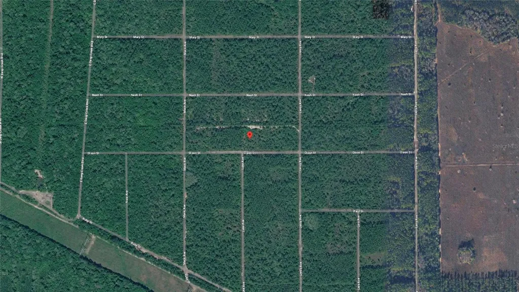 21-10-28-2775-00040-1020 Olson Street Hastings FL 32145