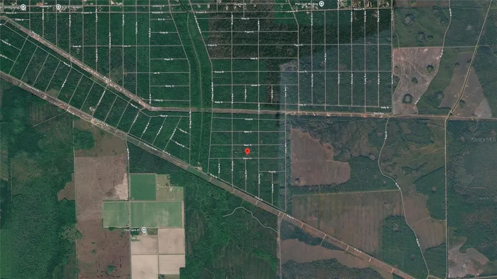 21-10-28-2775-00040-1020 Olson Street Hastings FL 32145