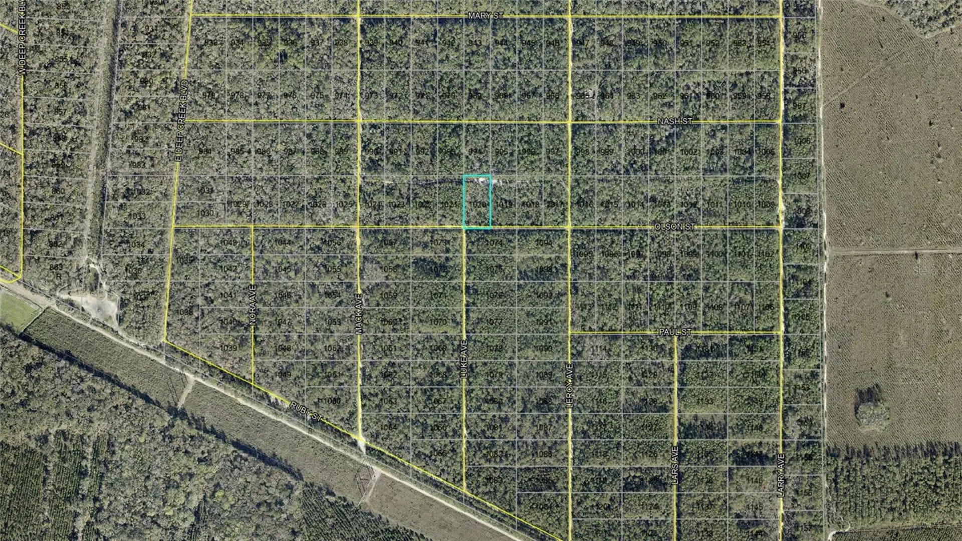 21-10-28-2775-00040-1020 Olson Street Hastings FL 32145