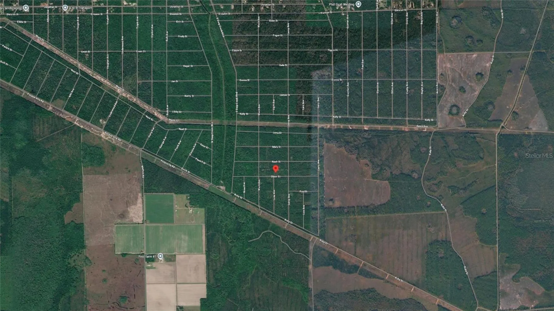 21-10-28-2775-00040-1020 Olson Street Hastings FL 32145
