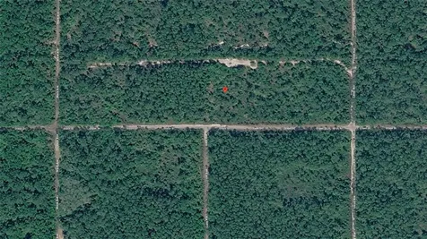 21-10-28-2775-00040-1020 Olson Street Hastings FL 32145
