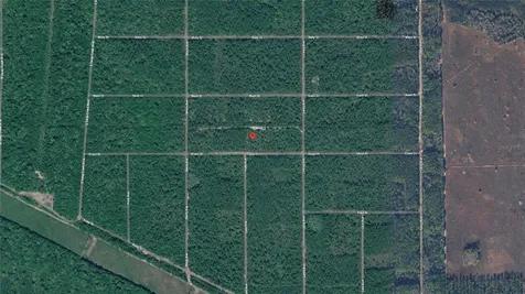 21-10-28-2775-00040-1020 Olson Street Hastings FL 32145