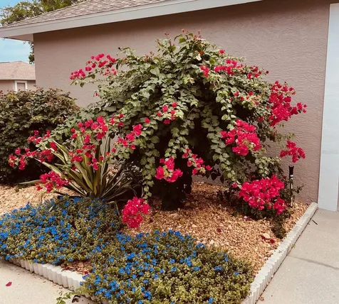 8941 Veranda Way Sarasota FL 34238