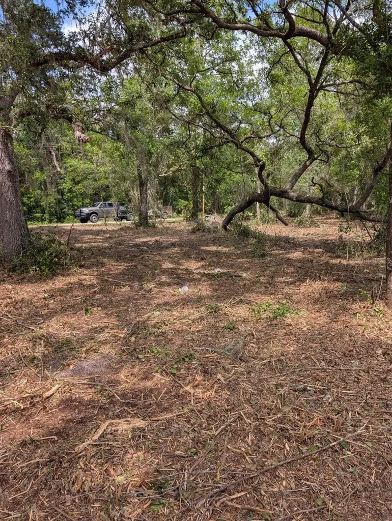 0 NE 220th Street Fort Mc Coy FL 32134