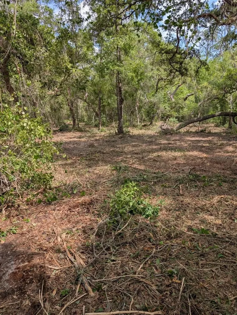 0 NE 220th Street Fort Mc Coy FL 32134
