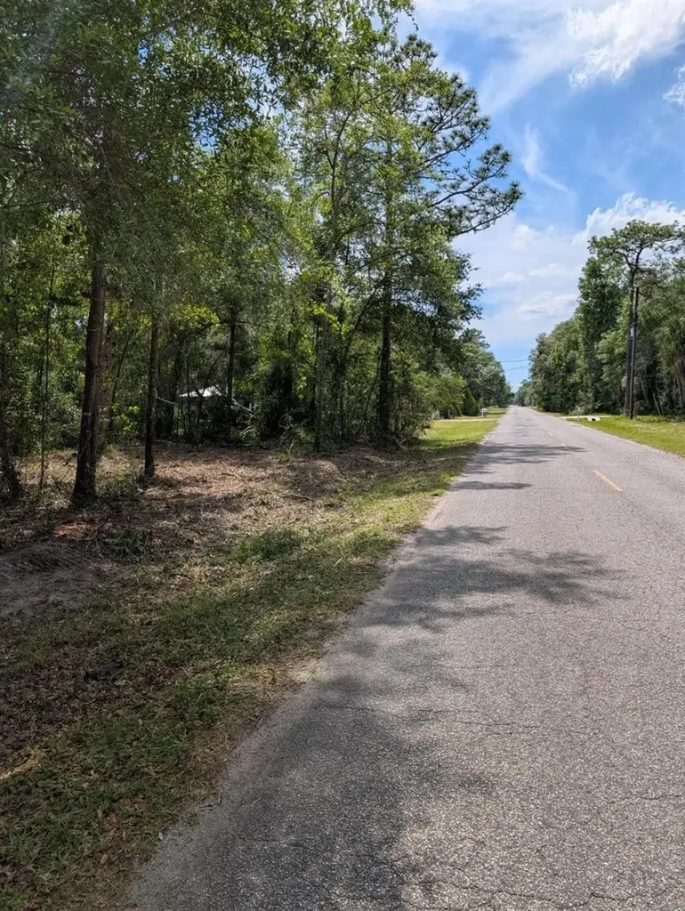 0 NE 220th Street Fort Mc Coy FL 32134