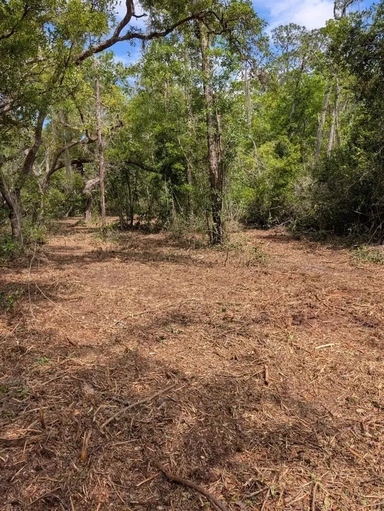 0 NE 220th Street Fort Mc Coy FL 32134