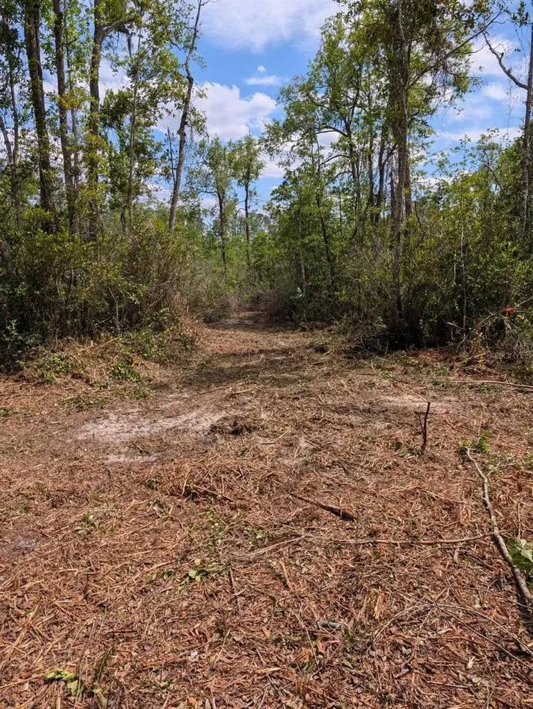 0 NE 220th Street Fort Mc Coy FL 32134