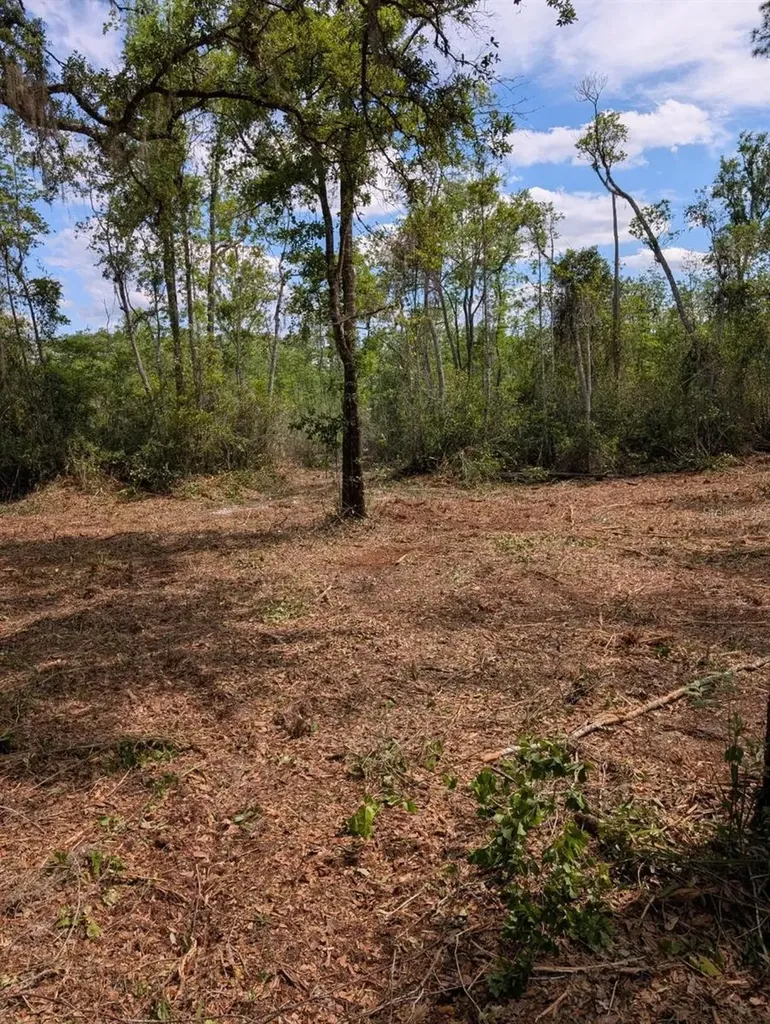 0 NE 220th Street Fort Mc Coy FL 32134