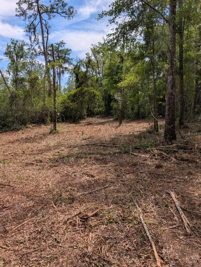 0 NE 220th Street Fort Mc Coy FL 32134