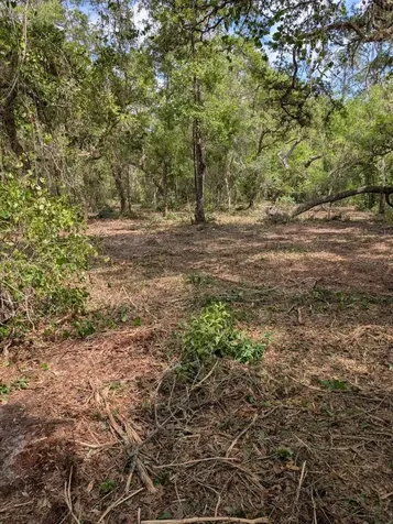 0 NE 220th Street Fort Mc Coy FL 32134