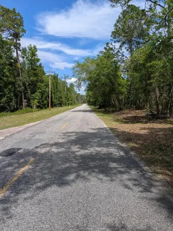 0 NE 220th Street Fort Mc Coy FL 32134