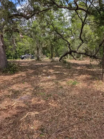 0 NE 220th Street Fort Mc Coy FL 32134