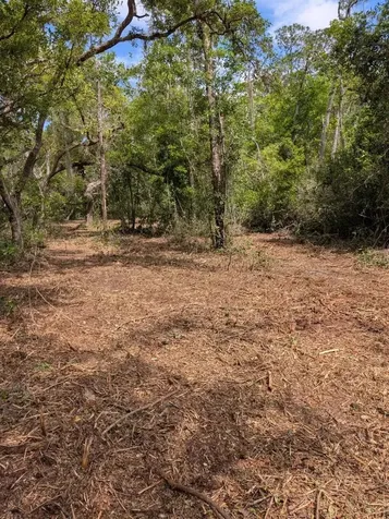0 NE 220th Street Fort Mc Coy FL 32134