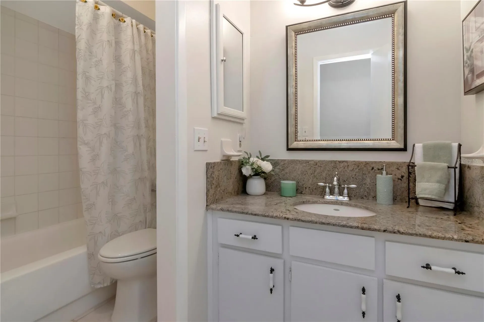 18318 Dolly Brook Lane Lutz FL 33549