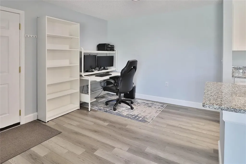 10028 Strafford Oak Court Tampa FL 33624
