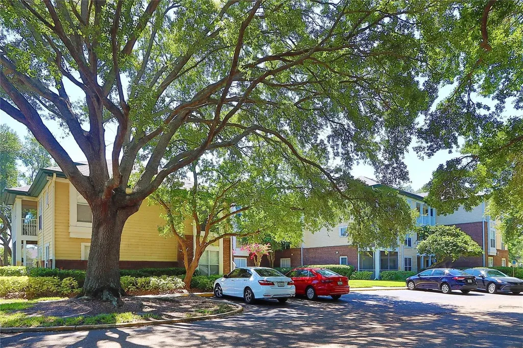 10028 Strafford Oak Court Tampa FL 33624