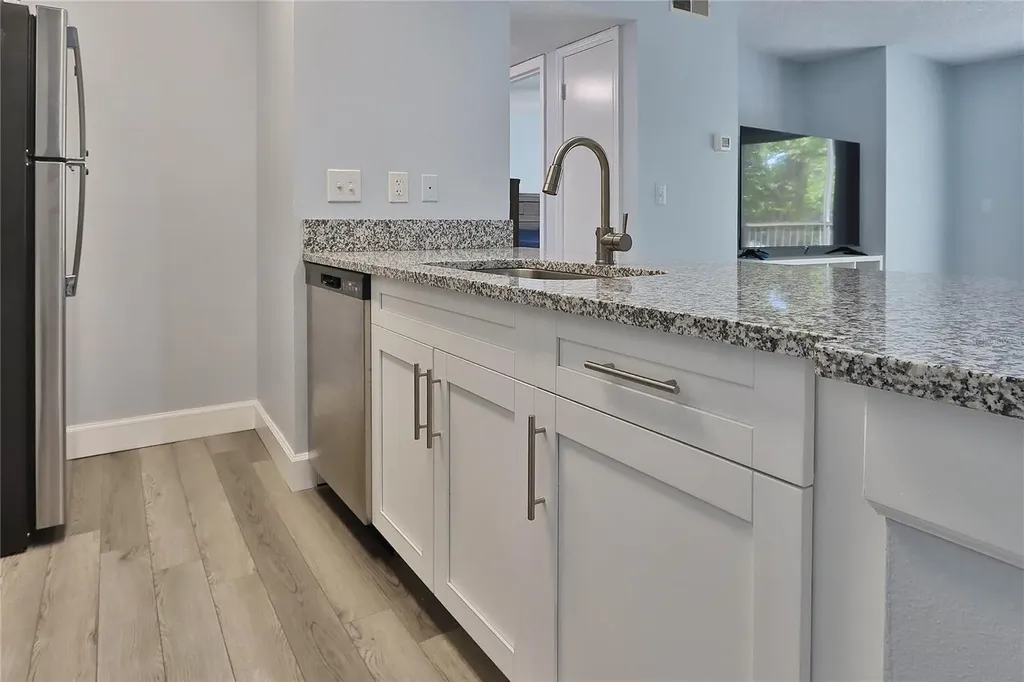 10028 Strafford Oak Court Tampa FL 33624