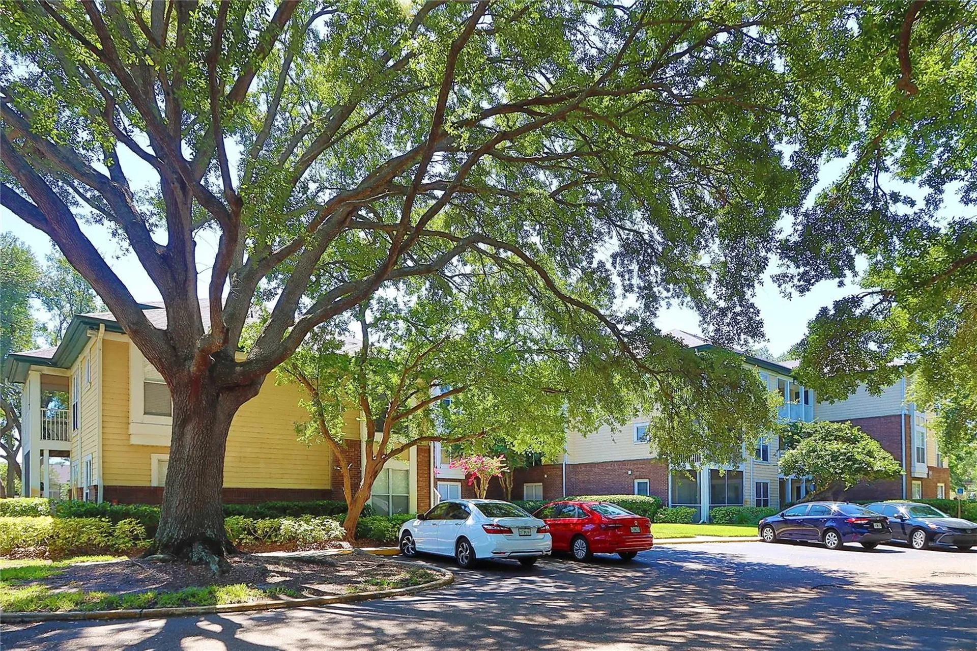 10028 Strafford Oak Court Tampa FL 33624