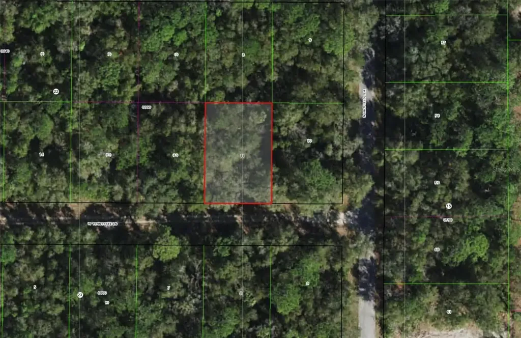 9565 W Tennessee Lane Crystal River FL 34428