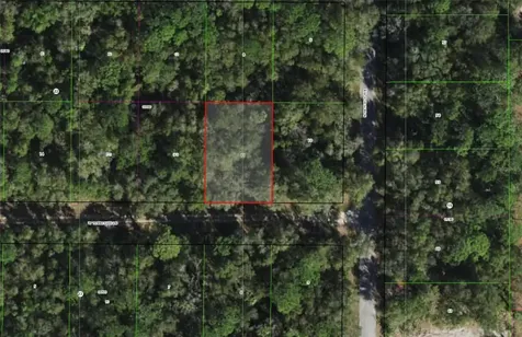 9565 W Tennessee Lane Crystal River FL 34428