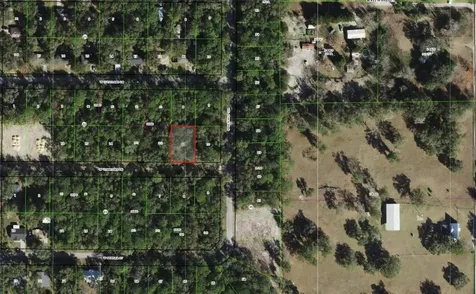9565 W Tennessee Lane Crystal River FL 34428