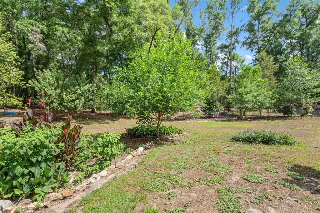 4050 NE 172nd Court Williston FL 32696