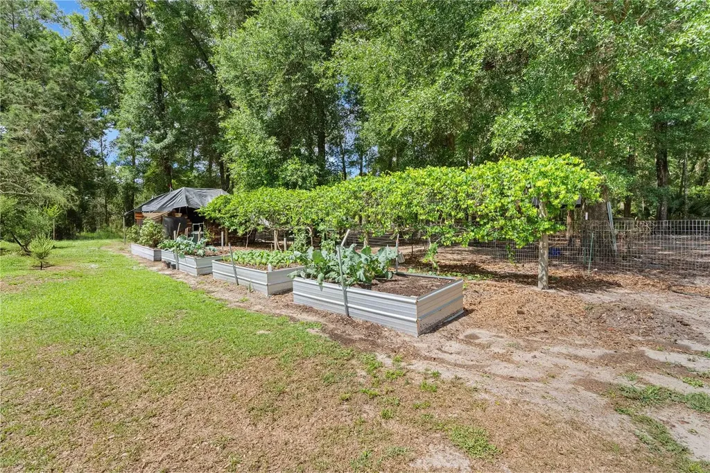 4050 NE 172nd Court Williston FL 32696