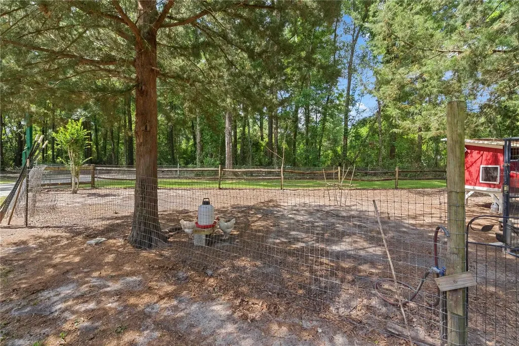 4050 NE 172nd Court Williston FL 32696