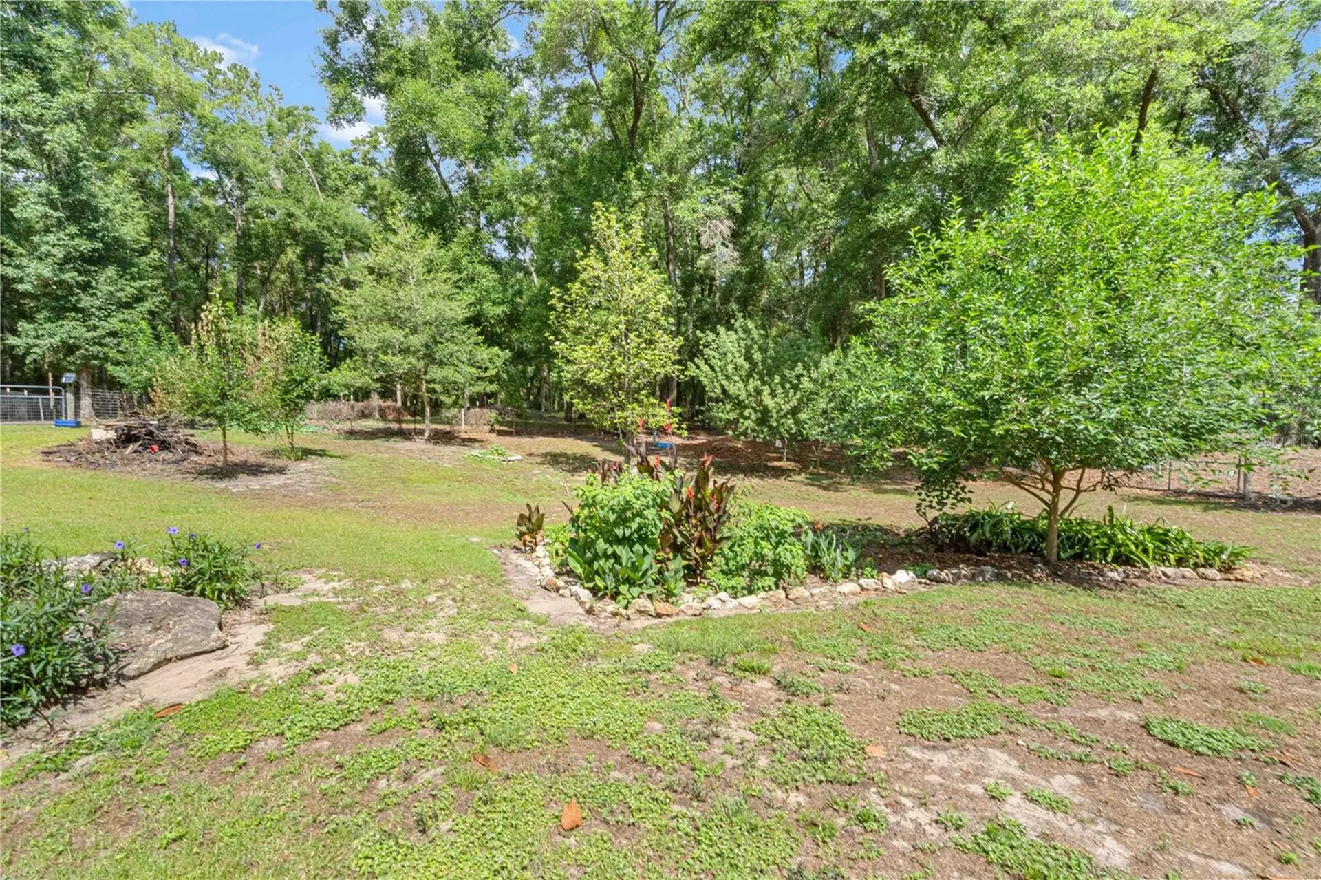 4050 NE 172nd Court Williston FL 32696