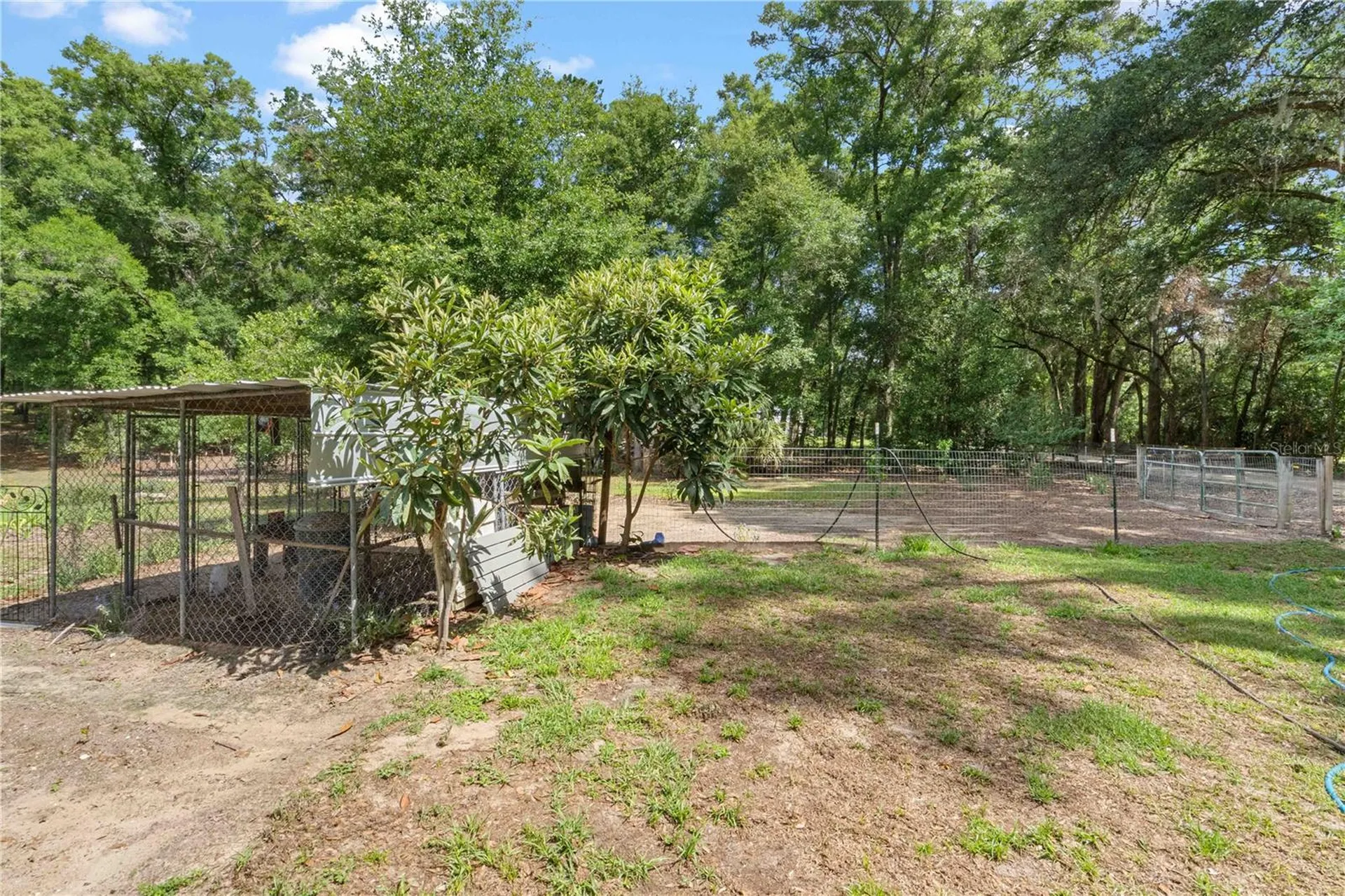 4050 NE 172nd Court Williston FL 32696