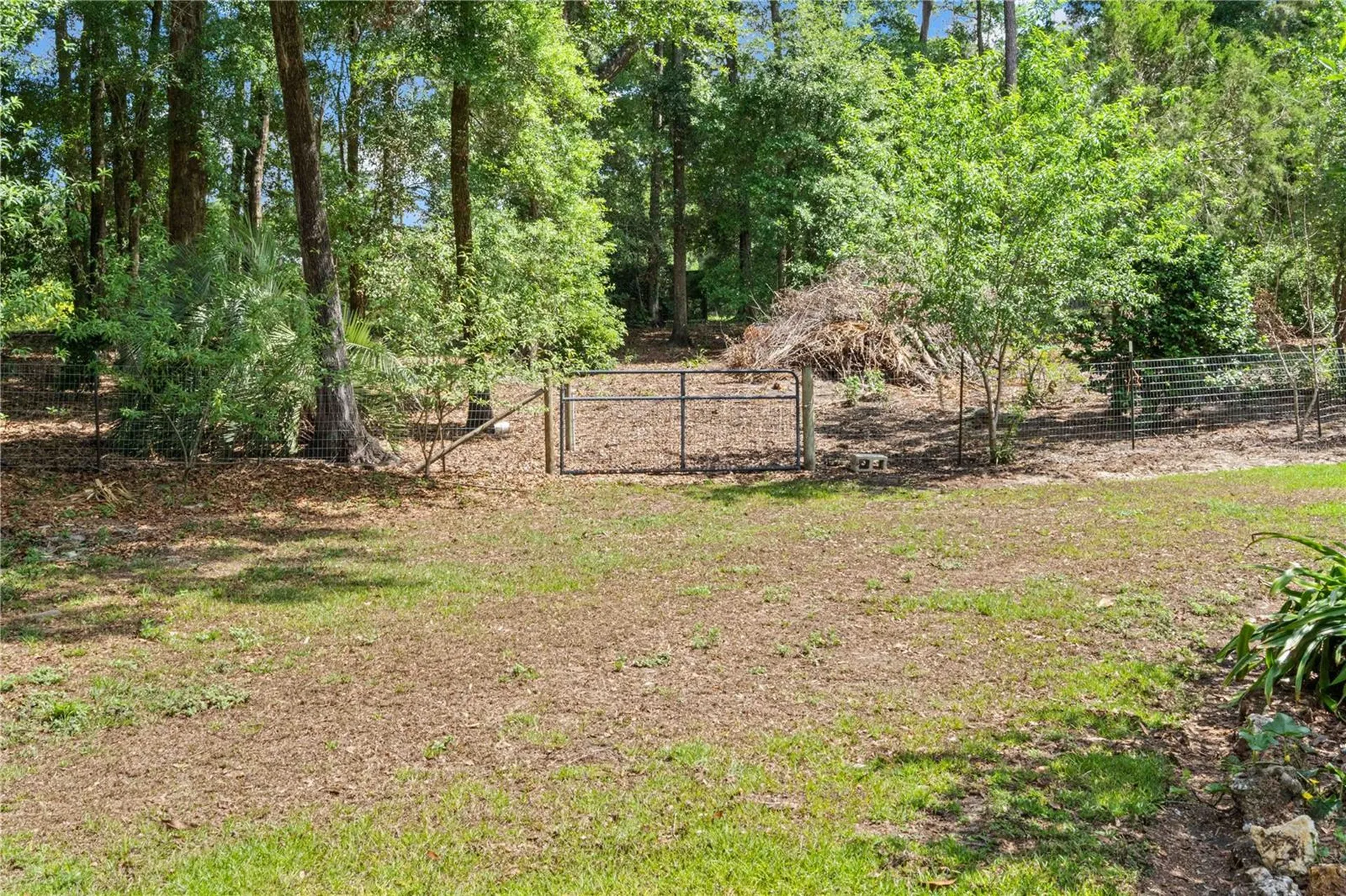 4050 NE 172nd Court Williston FL 32696