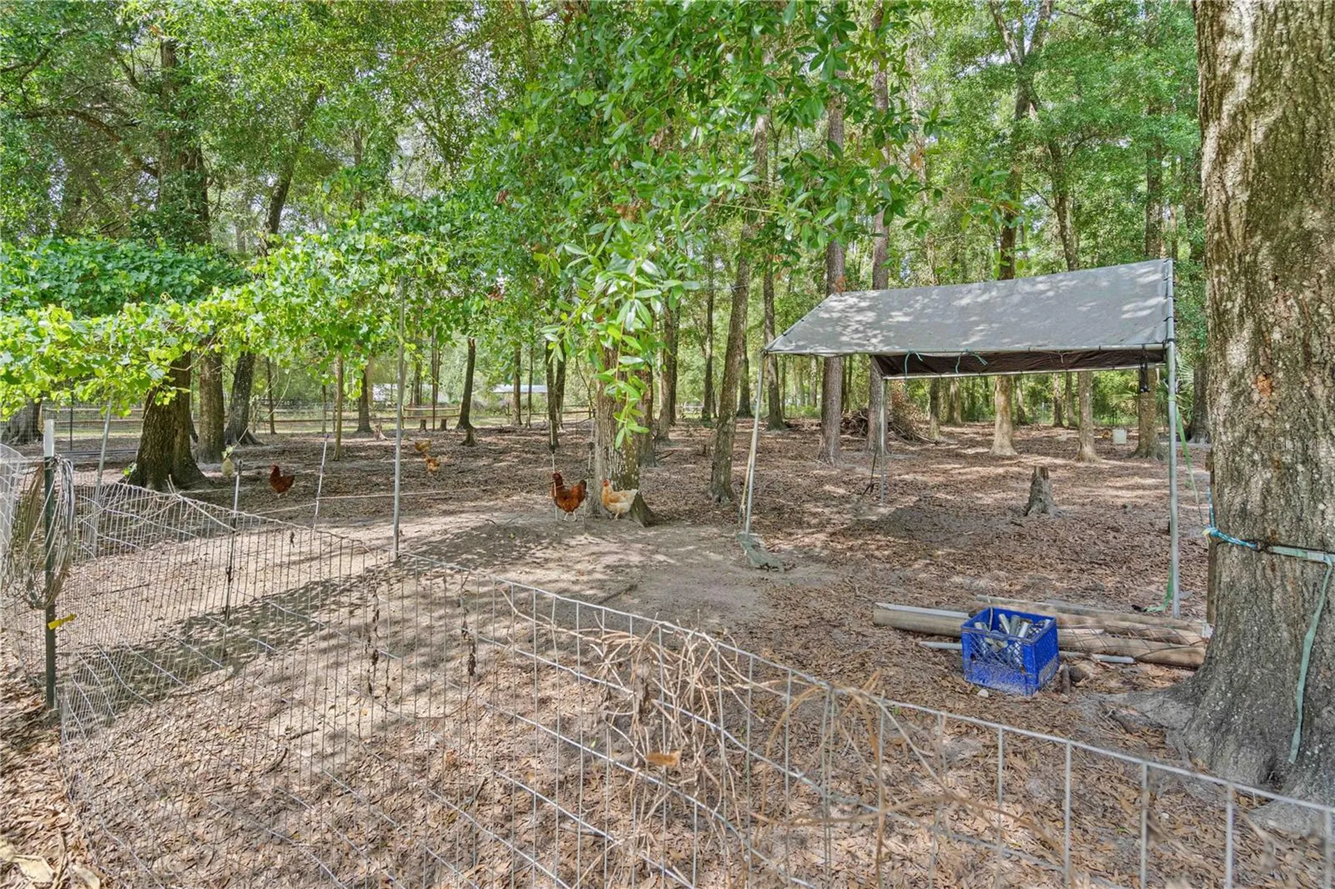 4050 NE 172nd Court Williston FL 32696