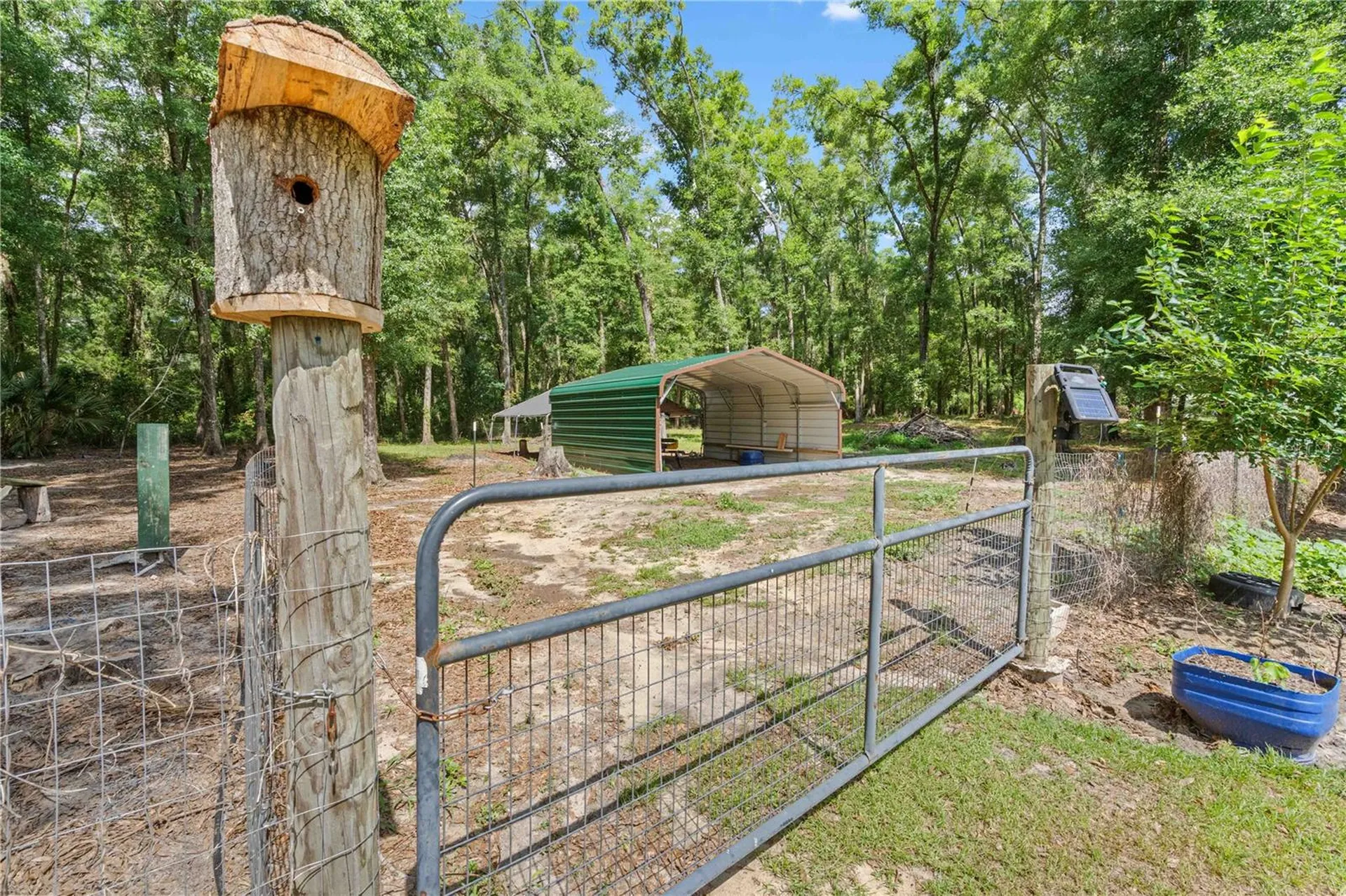 4050 NE 172nd Court Williston FL 32696