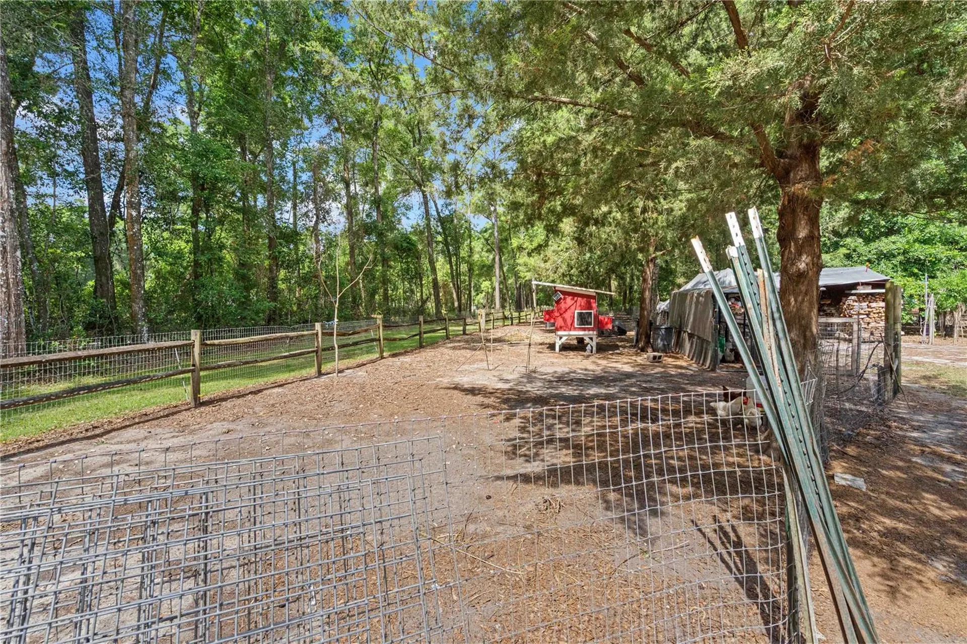 4050 NE 172nd Court Williston FL 32696