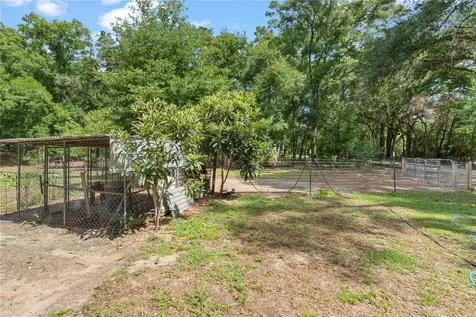 4050 NE 172nd Court Williston FL 32696