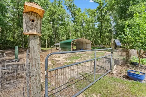 4050 NE 172nd Court Williston FL 32696