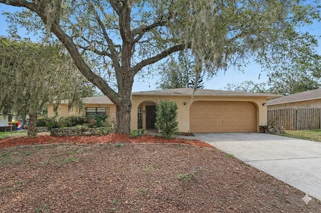 8741 Elm Leaf Court Port Richey FL 34668